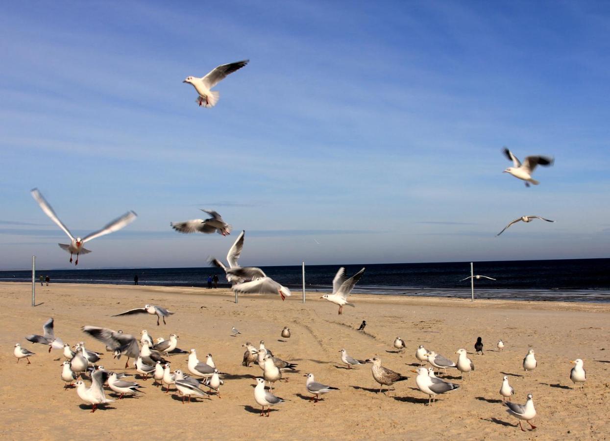 Strandnest Karlshagen Exterior foto